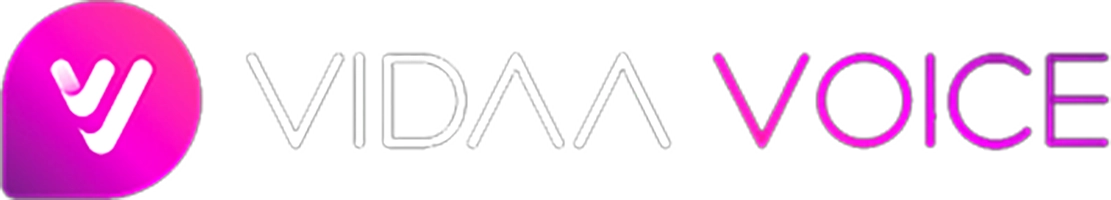VIDAA VOICE