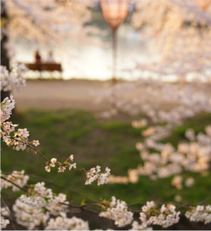 Imponująca rozdzielczość