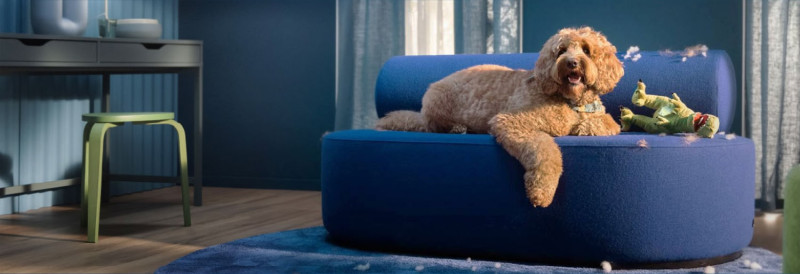 Top 1920x400 100kB (26)