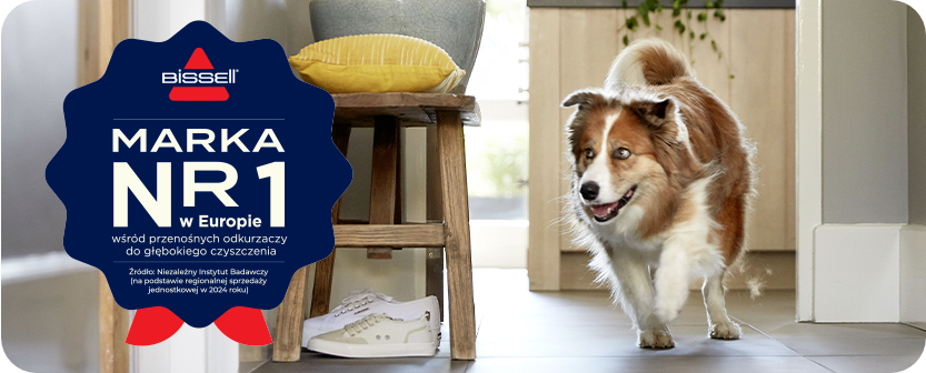 Pies biegnący pomiędzy meblami, na pierwszym placie symbol z napisem Marka nr1 w Europie