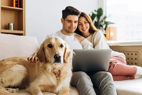 Para siedząca na kanapie z laptopem, obok leży pies.