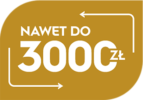 NAWET DO 3000 ZŁ
