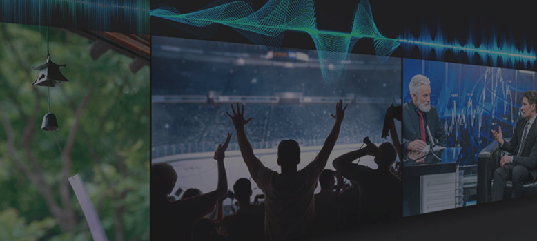 Ozdoba w ogrodzie, kibice na trybunach i publicystyczny program telewizyjny, podzielone między trzy obrazy.