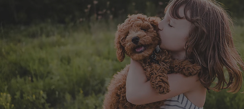 Dziecko całujące brązowego psa na zielonej łące.