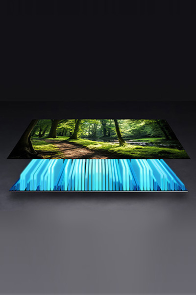 Ekran, na którym widać wnętrze lasu, lewitujący nad jasnoniebieskimi, cienkimi płytkami stojącymi pionowo.