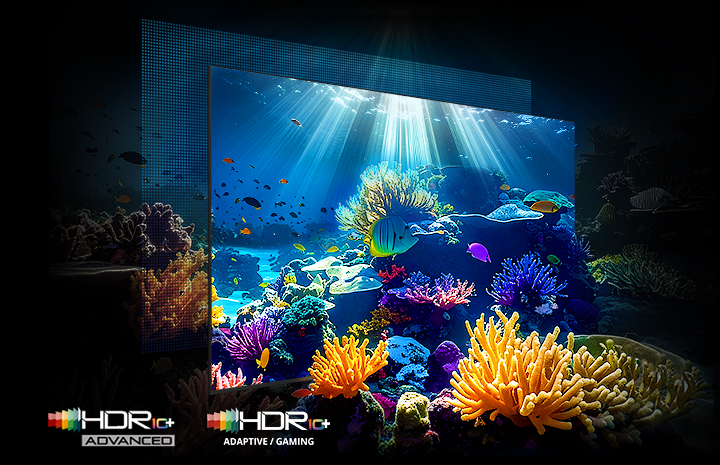 2026-micro-rgb-tv-f07-micro-rgb-hdr-pro-mo Podwodna scena z wyraźnymi detalami i wysokim kontrastem dzięki technologii Micro RGB HDR Pro.