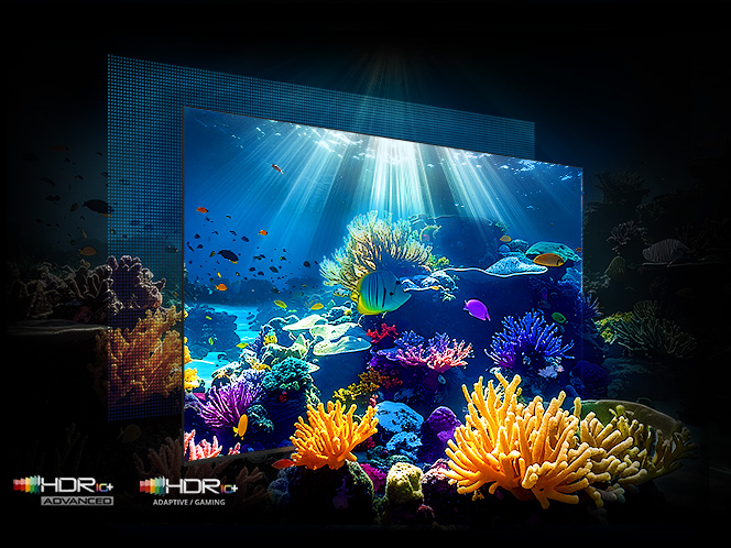 2026-micro-rgb-tv-f07-micro-rgb-hdr-pro-pc Podwodna scena z wyraźnymi detalami i wysokim kontrastem dzięki technologii Micro RGB HDR Pro.