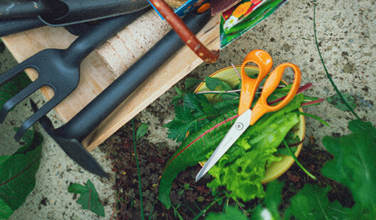 Fiskars