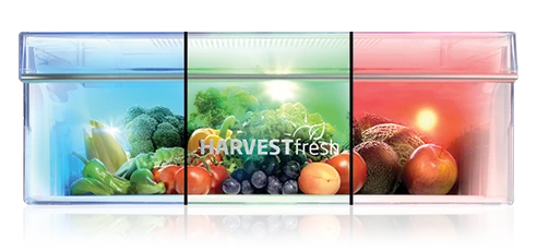 HarvestFresh – 3 kolory światła