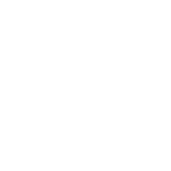 Automatic programme